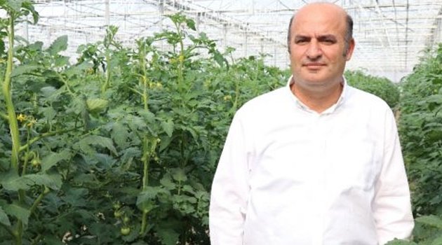 Domateste Firma Kısıtlaması Diğer Ürünlere De Sıçrayabilir