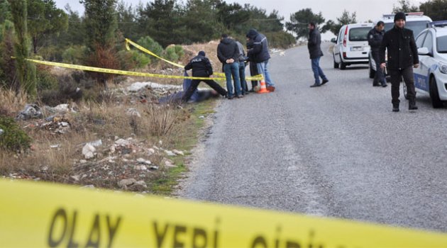 Döverek öldürüp ormanlık alana attılar