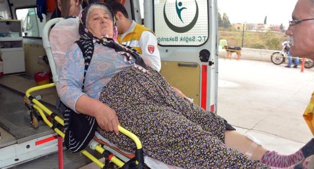 Duvardan atlayan köpek sokakta yürüyen kadını ısırdı