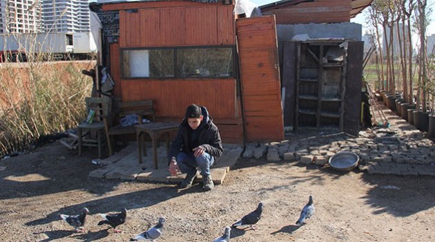 Duvarı kırıp keçiyi ve güvercinleri çaldılar