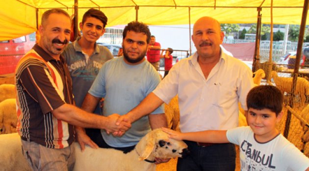 En ucuz kurbanlık 500 TL