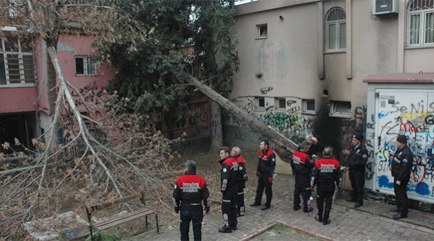 Evin üzerine ağaç devrildi