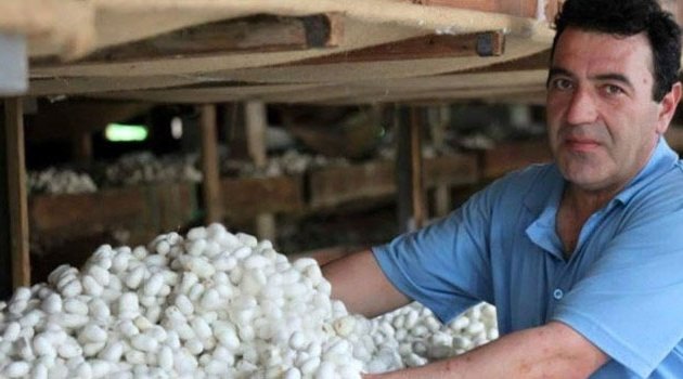 Evlerinde böcek yetiştirerek 5 bin lira kazandılar