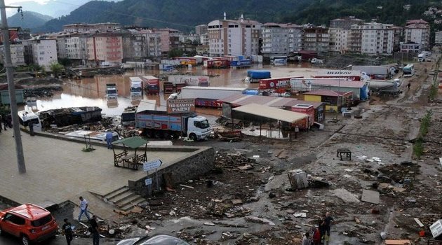 Facianın nedeni HES ve sahil yolu mu?