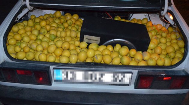 Fiyatı fırlayan limona hırsızlar dadandı