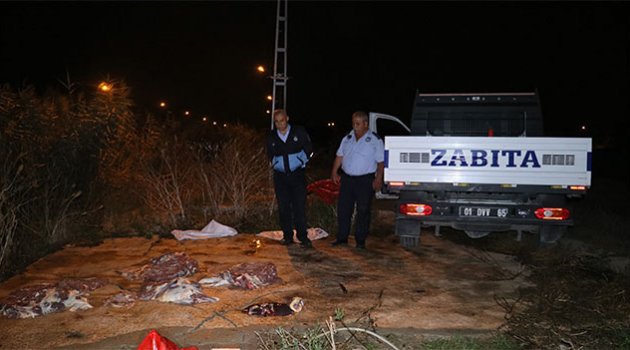 Gece yarısı boş arazide at kestiler