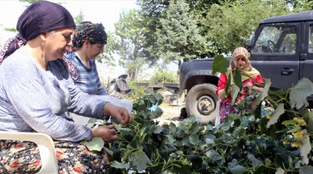 Geçen yıl altınla yarışıyordu, yarı yarıya ucuzladı