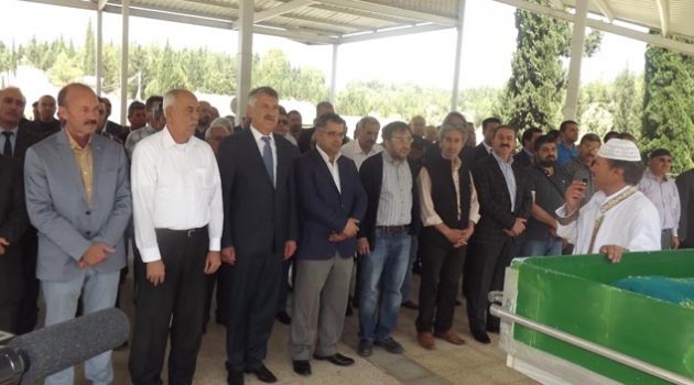 Gönül’üne kavuştu