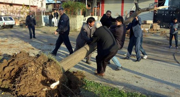 Görevli gecikince, devrilen direkteki elektriği kendileri kestiler