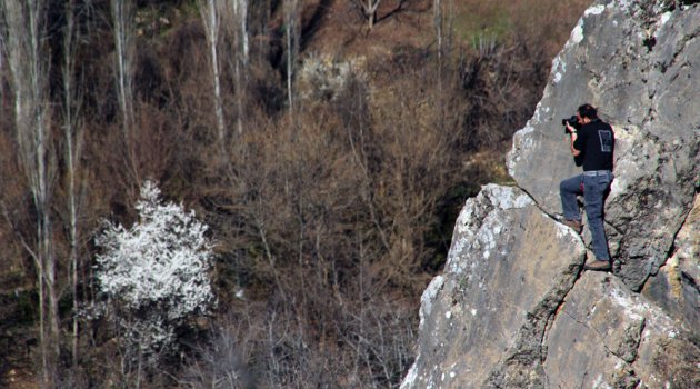 Görüntü avcıları iş başına