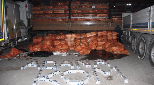 Gümrüklü iki TIR’dan 500 bin paket kaçak sigara çıktı
