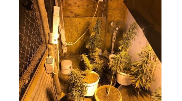 Güvercin Kafesine Özel "Skunk Odası" Yaptılar