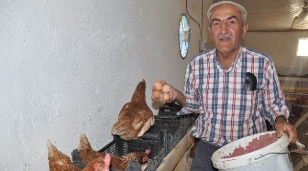 Haberde izleyip yaptı, şimdi para basıyor