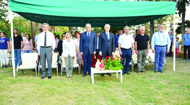Hasat bayramı coşkusu