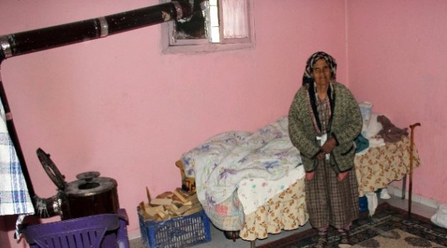 Hasibe Ninenin Çocukları Maaşını Alıyor Ama Annelerine Bakmıyor İddiası
