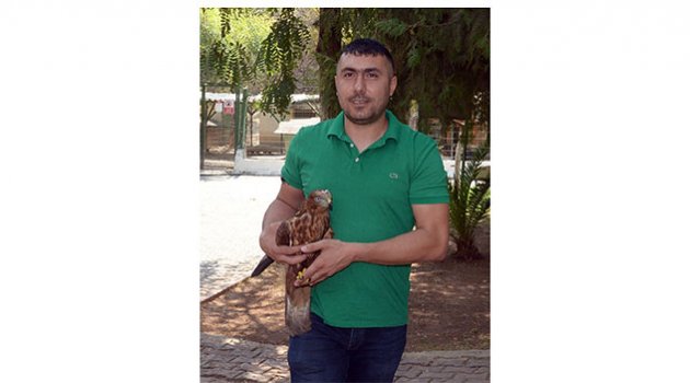 Hasta şahin tedavi edildi, özgürlüğüne kavuşturuldu