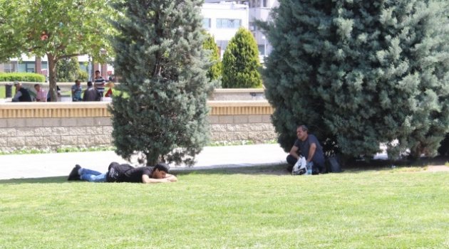 Hava sıcaklığı artacak
