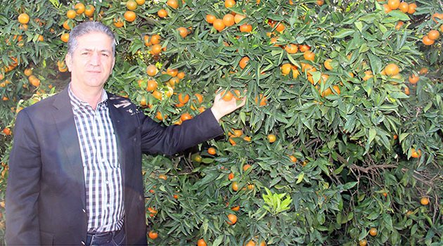 Havadaki kriz bahçeyi de vurdu