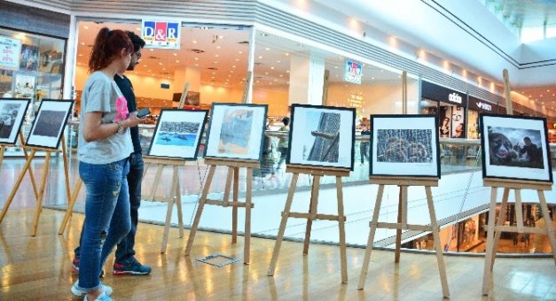 Hayvan hakları fotoğrafları sergisi