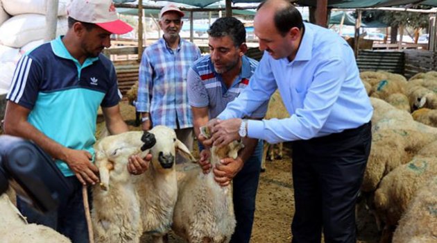 Hayvan pazarlarına sıkı denetim!