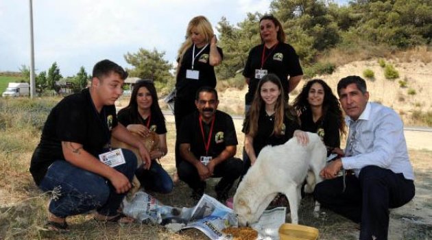 Hayvanlar için evinizin önüne bir kap su koyun