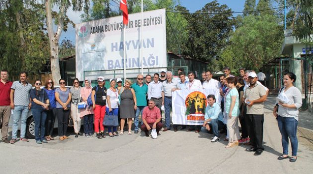 Hayvanseverler, hayvan barınağını ziyaret etti