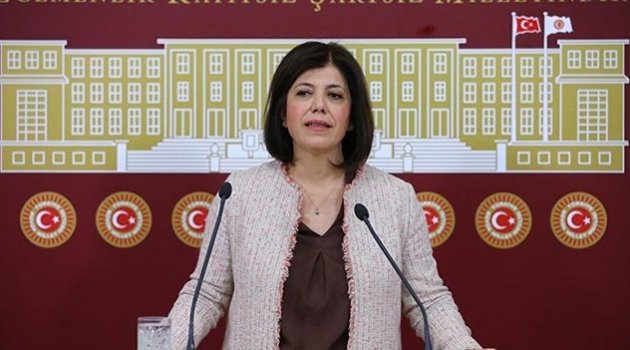HDP’li Danış’ın 4 yıl hapsi isteniyor