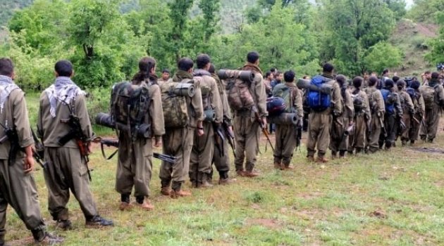 HDP’li vekil PKK’nın eylemsizlik ilan edeceğini söyledi