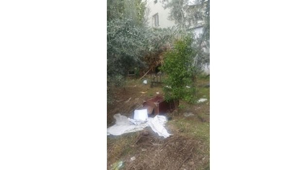 Hırsızlar Kasayı Çaldı Serveti Alamadan Bahçeye Attı