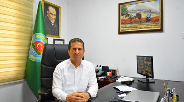 Hırsızlar, Yüreğir Ovası’ndaki limon bahçelerine dadandı