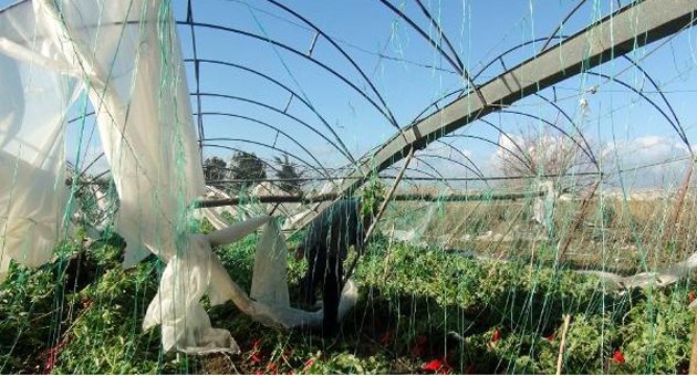 Hortum seraları yıktı
