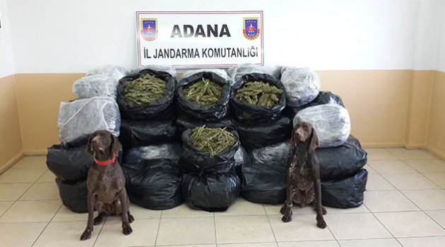 Adana'da uyuşturucu operasyonu