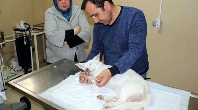 İğrenç olay ortaya çıktı!