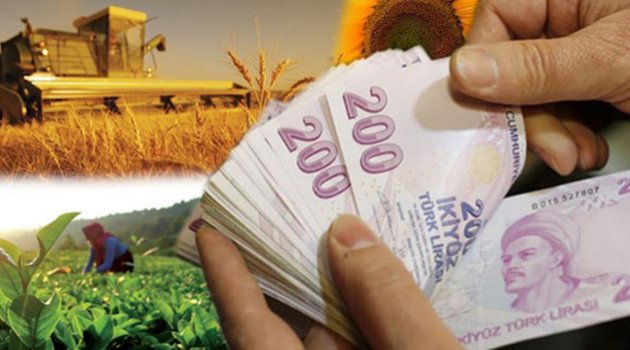 İncefikir: Çok erken açıklanan tarımsal destekleme akıllarda soru işareti bıraktı