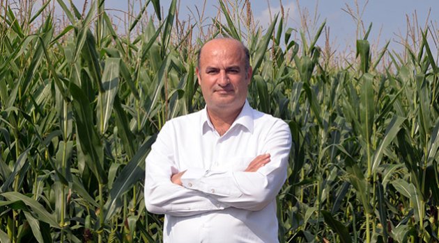 İncefikir: Şekerin tadı kaçtı
