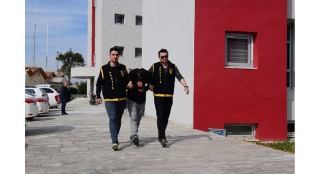 İnekleri Çalıp Yarı Fiyatına Kasaplara Sattılar