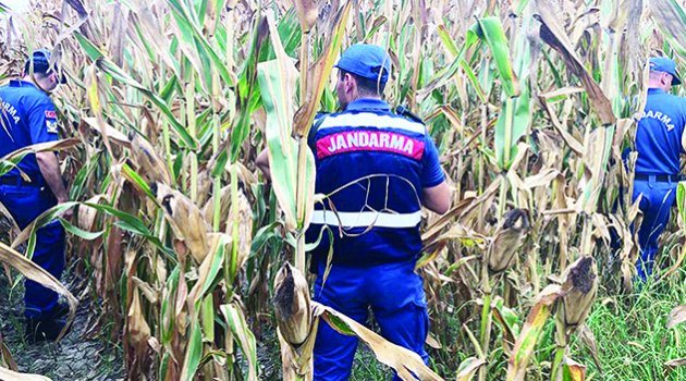 Jandarmadan uyuşturucu tacirlerine baskın