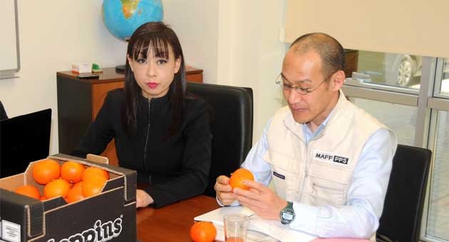 Japonya’ya yılın ilk narenciye ihracatı Adana’dan
