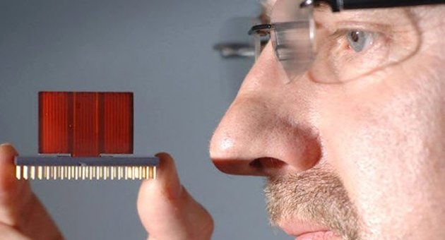 Kaliteli çayı 'elektronik burun' belirleyecek