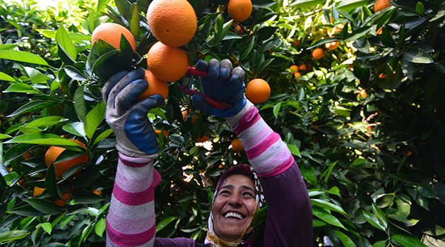 ‘Kalitesiz mala pazar bulamazsınız’