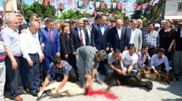 Karaisalı’da MHP coşkusu