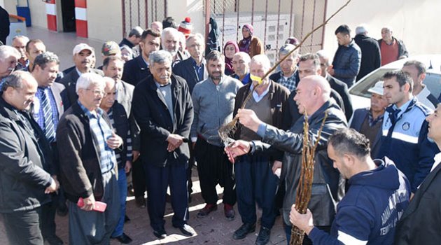 Karaisalı'da 7 bin ceviz fidanı dağıtıldı