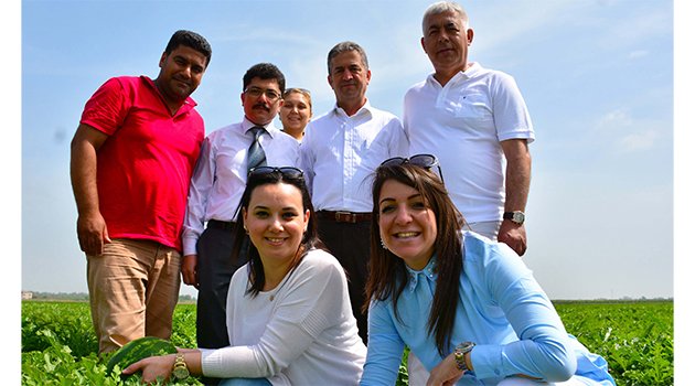 Karpuzda erken hasadı “ham karpuz timi” önleyecek