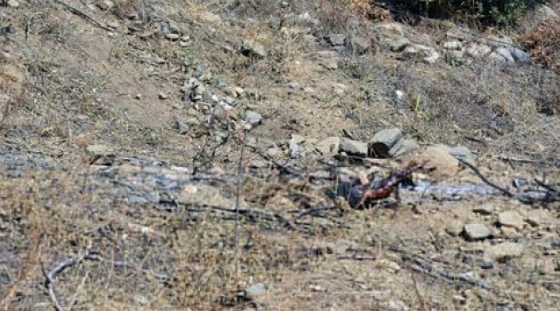 Kayıp çiftçinin toprağa gömülü cesedi bulundu