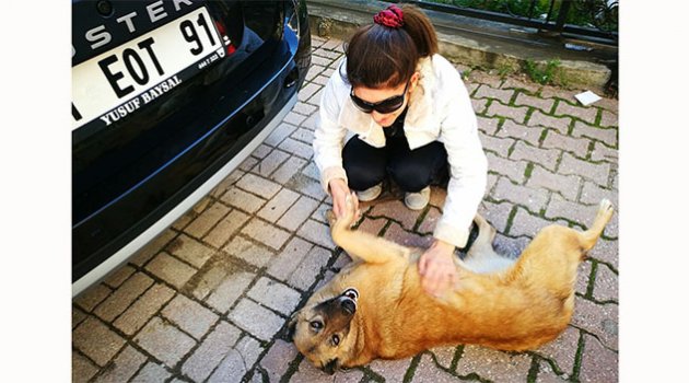 Kedi ve köpeklerin "Deniz" annesi