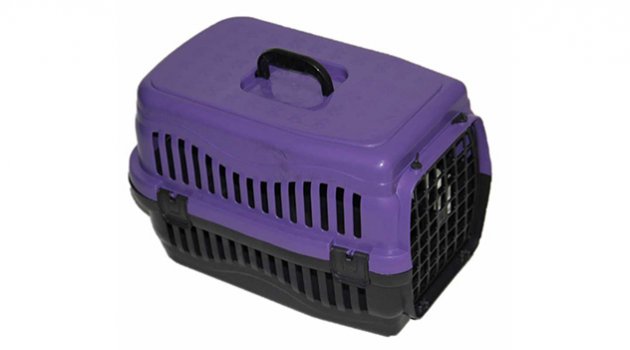 Kedilerin En Önemli Pet Shop Aksesuarları