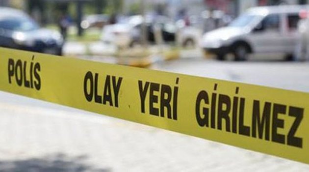 Kırmızı ışıkta geçen kadın canından oldu