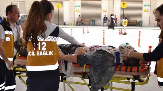 Köpeğe çarpan otomobil takla attı