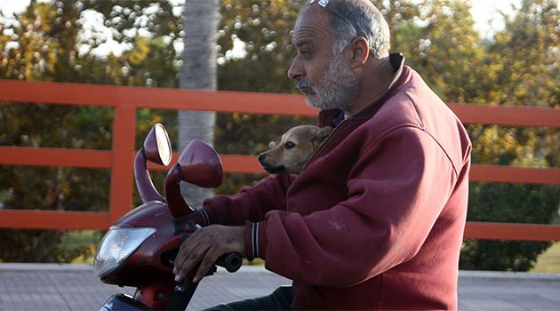 Köpeğin motosikletle seyahat keyfi