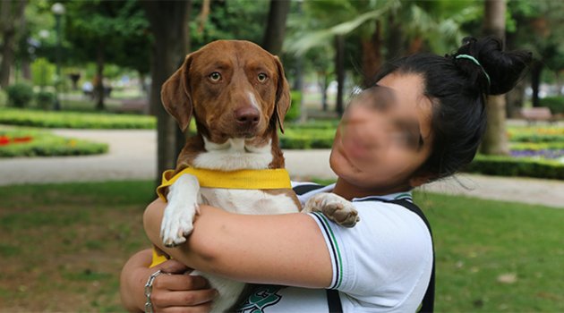Köpeğinin öldürülme korkusu yüzünden tedavi görüyor